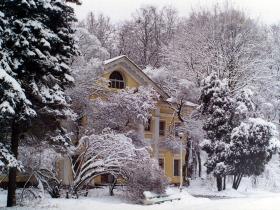  12-я Московская Международная Школа Физики ИТЭФ
(37-я зимняя Школа Фи...